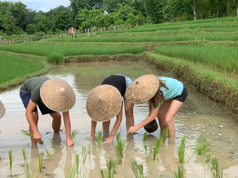 PHOTO-2025-08-17-12-40-44_1